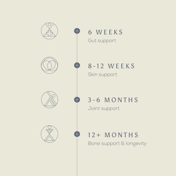 Ancient and Brave Wild Collagen Sachets x 30 with timeline graphic showing effectiveness from 3 weeks to 12 months