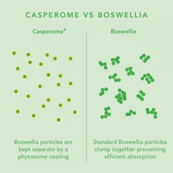 neutrient curcumin capsules info for casperome
