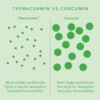 neutrient curcumin capsules theracurmin information