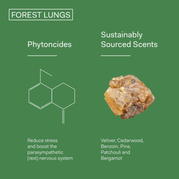 the nue co forest lungs infographic 2 dermoi!