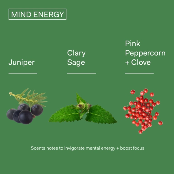 the nue co mind energy ingredients dermoi!