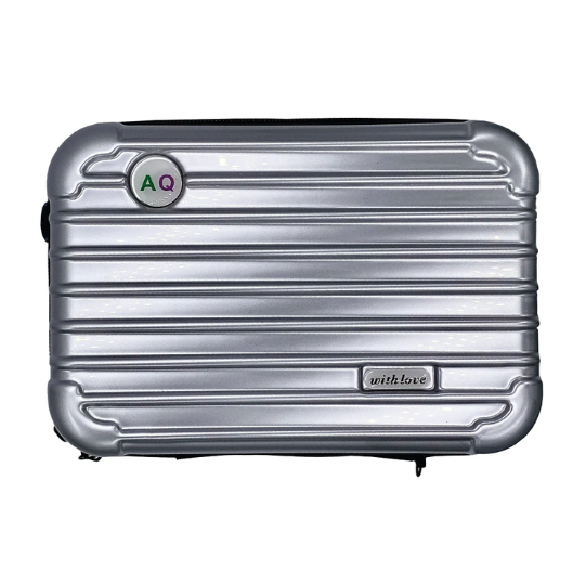 AQ Skin Solution Cosmetic Case